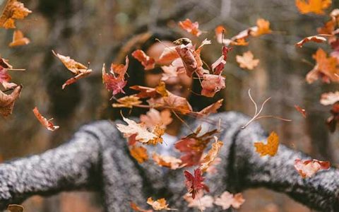 Trabajando con los obstáculos de la meditación