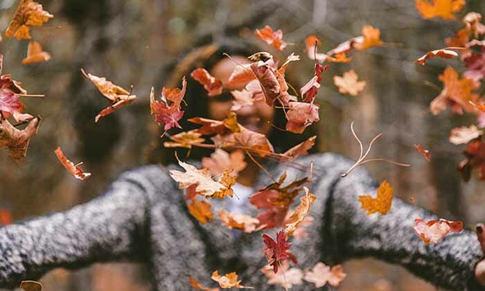 Trabajando con los obstáculos de la meditación